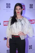 Amyra Dastur  at Hello Art Soiree red carpet in The World Tower, Mumbai on 16th Oct 2014